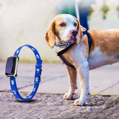 Smartpaws Gps Pet Tracker